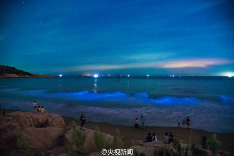 鹰击长空2
