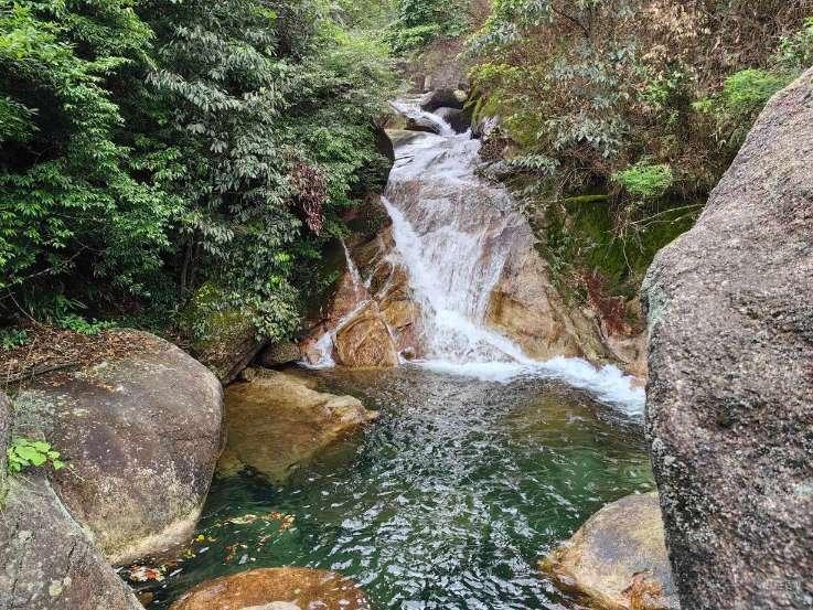 大民年货大集