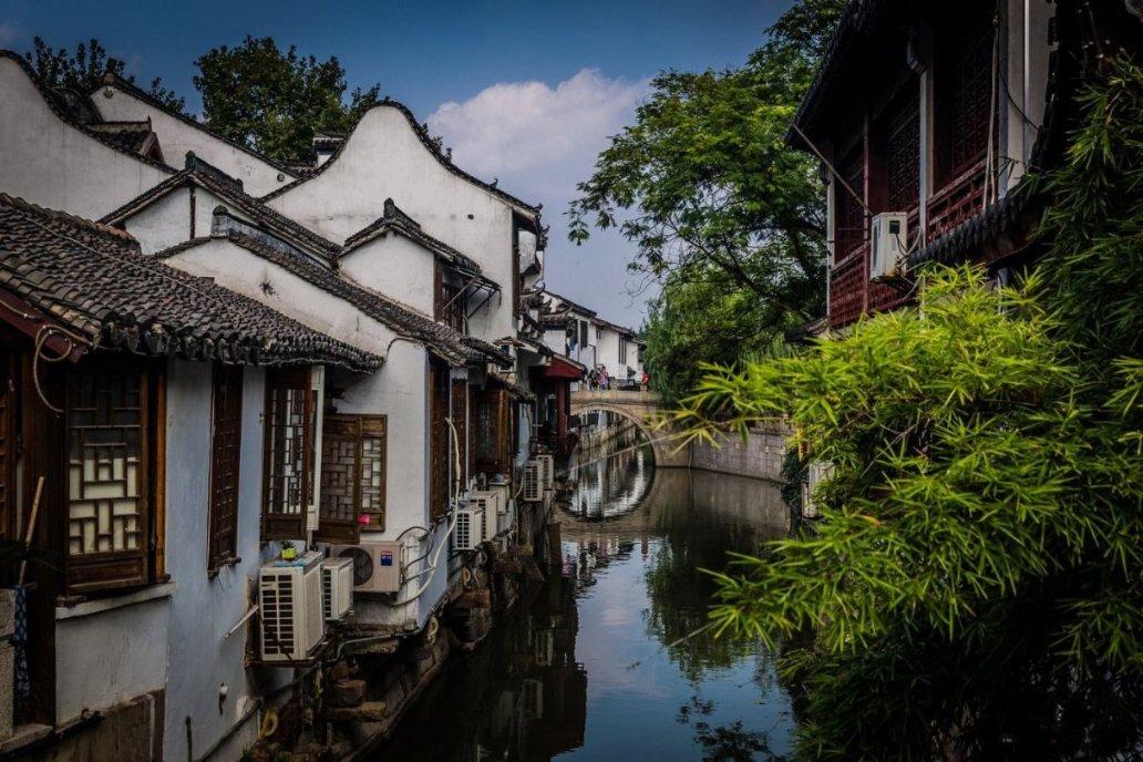 动物帮帮忙保卫家园
